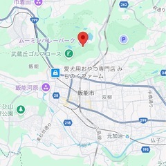 ムーミンバレーパーク 1デーパス 3枚セット 9月末期限の画像