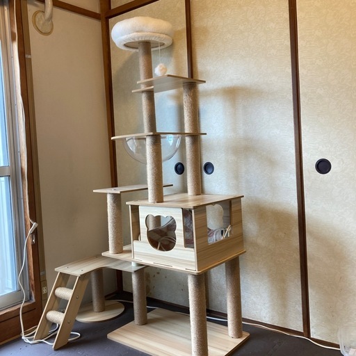 キャットタワー