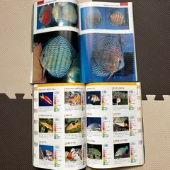 discus、世界の海水魚6冊の画像