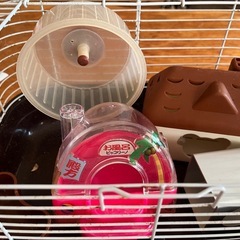 ハムスターケージの画像