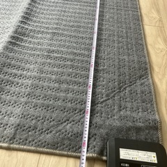  広電 ホットカーペット の画像