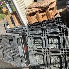 樹脂パレット差し上げます！！の画像