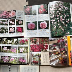 雑誌の画像