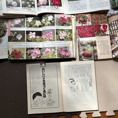 雑誌の画像