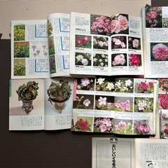 雑誌の画像