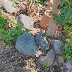 不揃い庭石　40個ほどの画像
