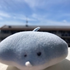 ハンガーラック下さい、机、イス