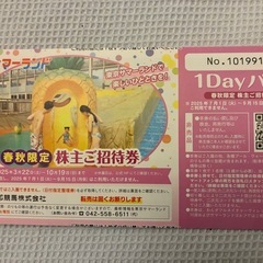 東京サマーランド1デイパス４枚の画像