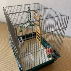 鳥かごの画像