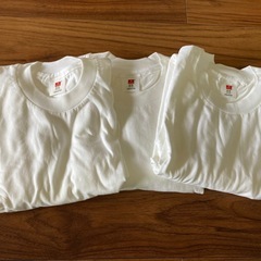 新品ヘインズTシャツ3枚　Mサイズの画像