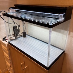 観賞魚用60cm ガラス水槽の画像