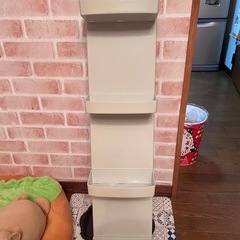 棚の画像
