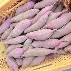 茨城県産　紅はるか　10キロ　オトショップ　焼き芋向き　土付き の画像