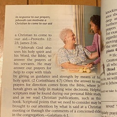 What does the Bible really teach? 洋書 キリスト教 バイブル クリスチャンの画像