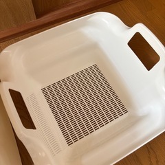 猫　トイレの画像