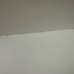 KALLAX IKEA イケア　カラックスシェルフユニット, ホワイト, 77x147の画像