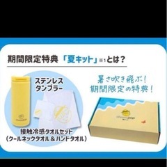 チョコザップ　夏キットの画像