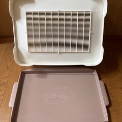 猫　トイレの画像