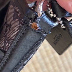 コーチ「COACH」の画像