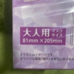 個別包装マスクの画像