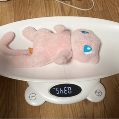 ベビースケールの画像