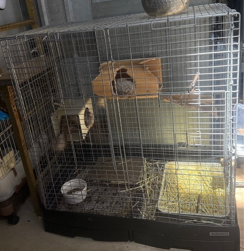 チンチラ　ケージ