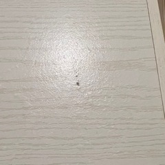 【本日14時まで】カラーボックスの画像