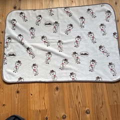 ブランケット🛏️ハーフサイズの画像