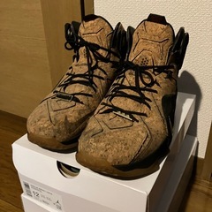 ナイキ　レブロン12 コルク　スニーカー　29cm　バスケットシューズの画像