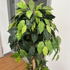 フェイクグリン　じんこ人工観葉植物の画像