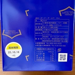 【市内配達無料】業務用大型モップや害虫対策用品＋豪華おまけ付き合計10点の画像