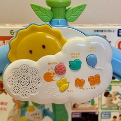 【箱付】プーメリーの画像