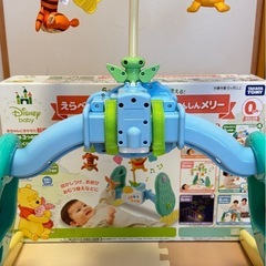 【箱付】プーメリーの画像