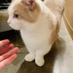 無視されてる気持ち