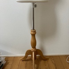 トルソーの画像