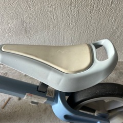 KASACA の画像