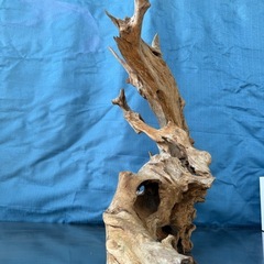 インテリアに存在感抜群！個性派流木（52×55×35cm）1点ものの画像