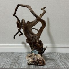 流木 アクアリウムの画像