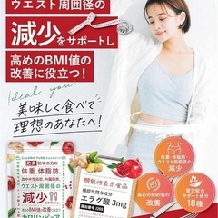 【お得な2袋セット!!】カロリンピュア 肥満 体脂肪 中性脂肪 内臓脂肪 ウエスト 改善サポート  体脂肪の減少を助ける サプリ の画像