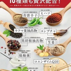 【お得な2袋セット!!】カロリンピュア 肥満 体脂肪 中性脂肪 内臓脂肪 ウエスト 改善サポート  体脂肪の減少を助ける サプリ の画像