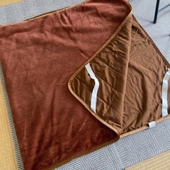 冬用式パッド　2枚の画像