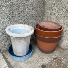 植木　植木鉢　ガーデニングの画像