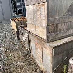 朝晩涼しくなってきました！焚き付けにどうぞの画像