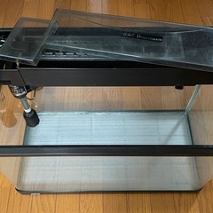 水槽60cmの画像