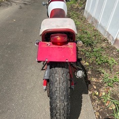 【動画あり】FTR223カスタム　トリコロールスパトラマフラーの画像