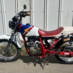 【動画あり】FTR223カスタム　トリコロールスパトラマフラーの画像