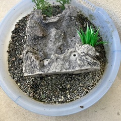 大型水槽。備品。の画像
