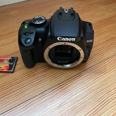 【美品】Canon EOS Kiss Digital X レンズ2本付きの画像