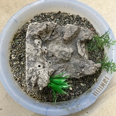 大型水素。備品。の画像