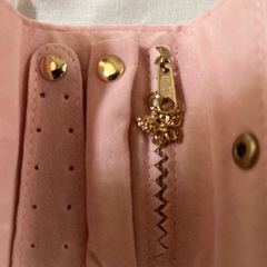 未使用アクシーズファム⭐︎アクセサリーケースの画像